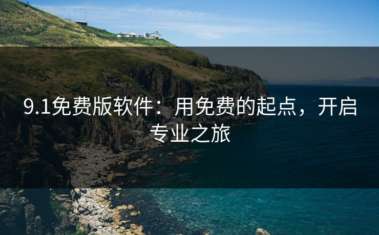 9.1免费版软件：用免费的起点，开启专业之旅