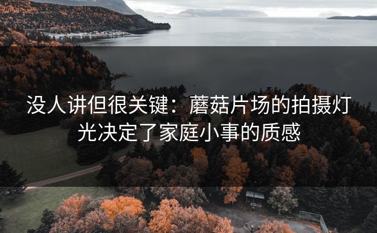没人讲但很关键：蘑菇片场的拍摄灯光决定了家庭小事的质感
