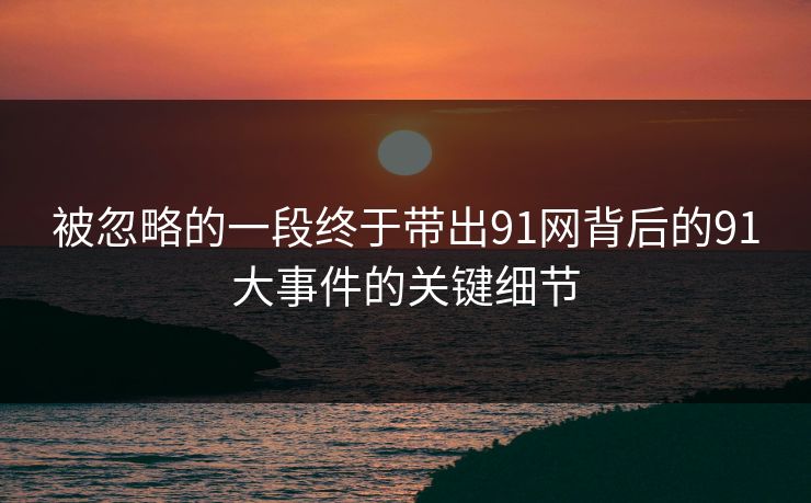 被忽略的一段终于带出91网背后的91大事件的关键细节