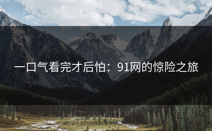 一口气看完才后怕：91网的惊险之旅