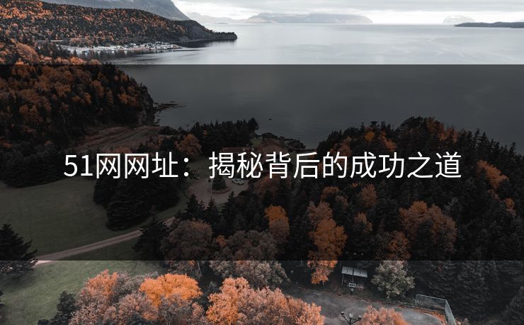 51网网址：揭秘背后的成功之道